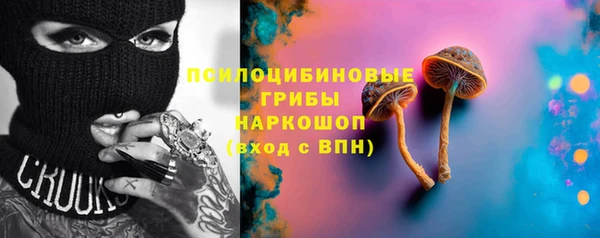 дживик Лагань