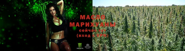 ECSTASY Ладушкин